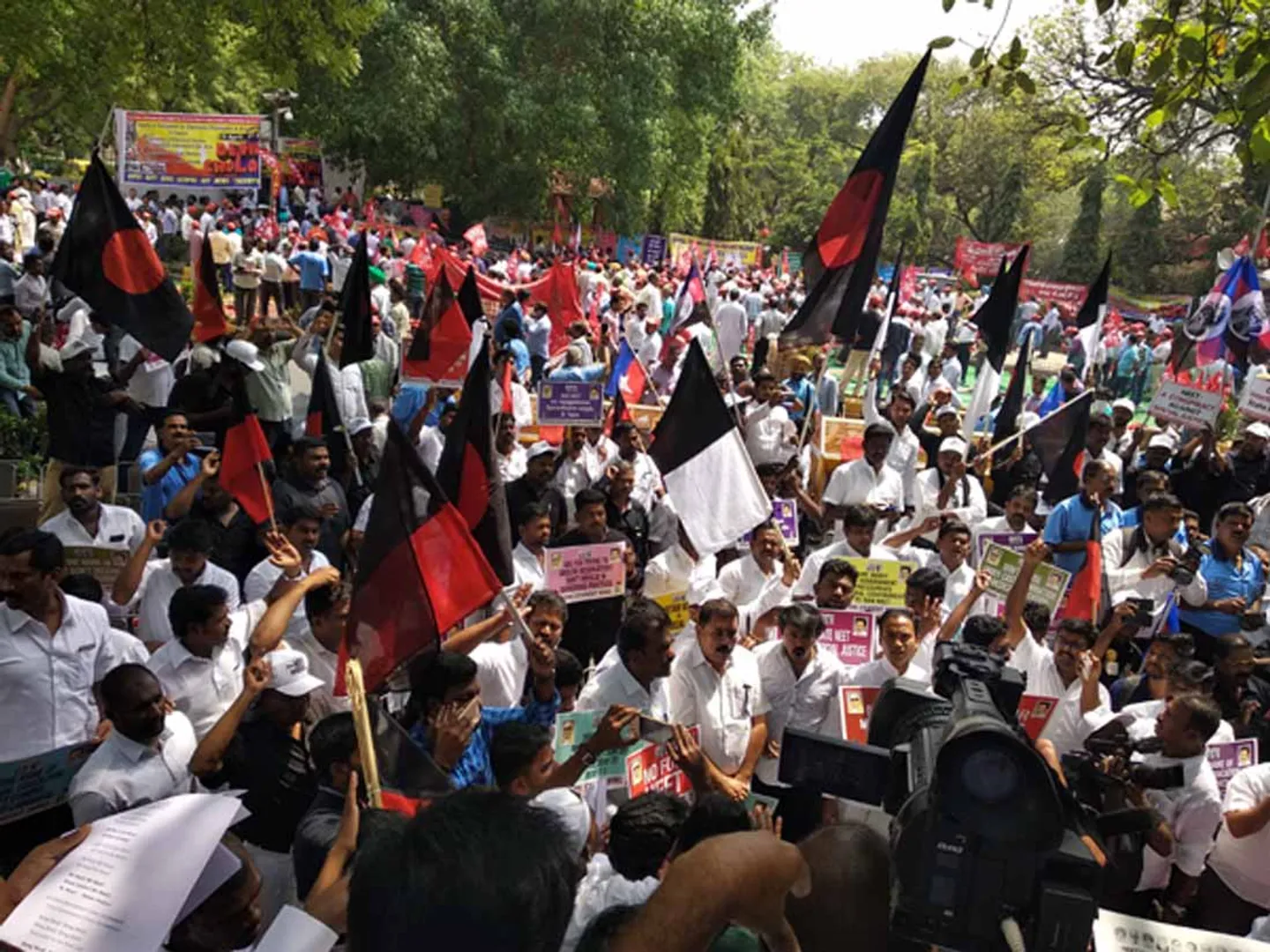 delhi